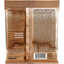 Ernie Ball 2144 Earthwood Phosphor Bronze Medium